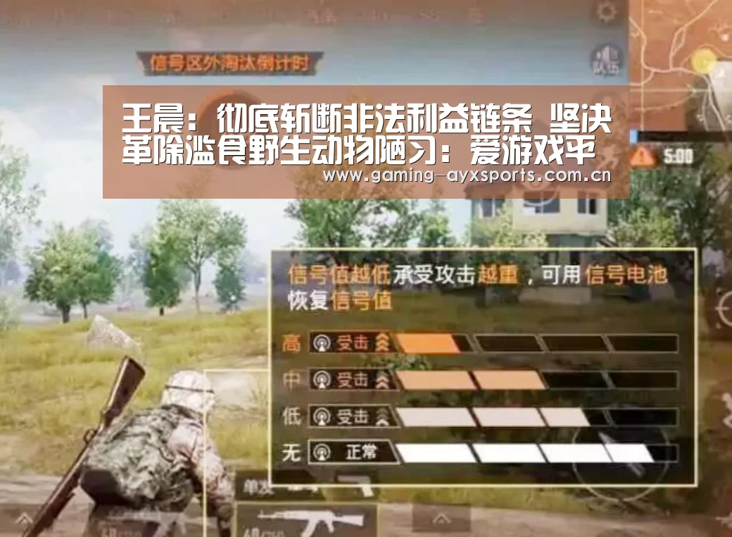爱游戏官方入口