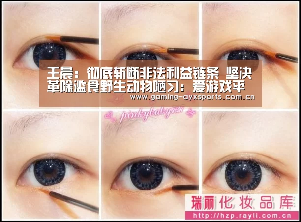 爱游戏体育直播