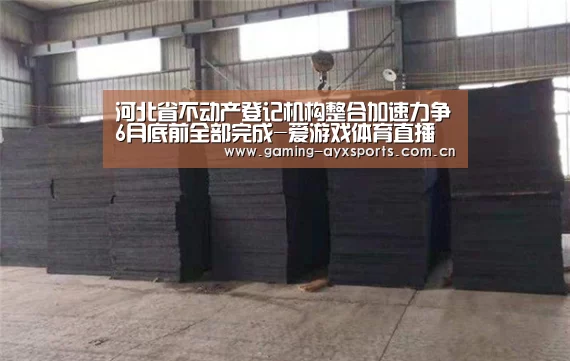 河北省不动产登记机构整合加速力争6月底前全部完成-爱游戏体育直播(图3) 足球即时比分