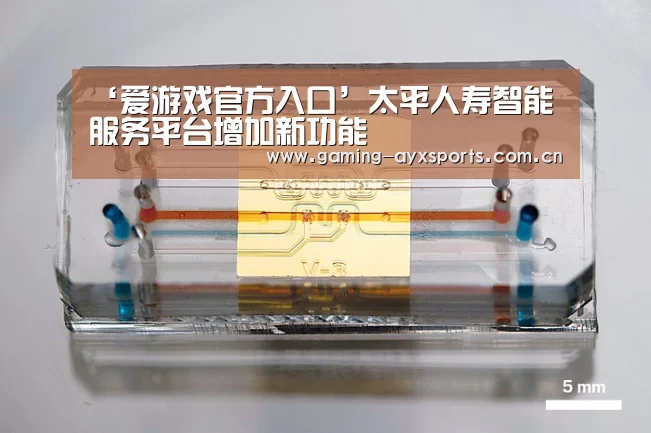 足球即时比分