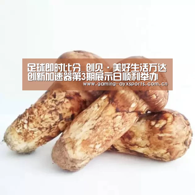 足球即时比分