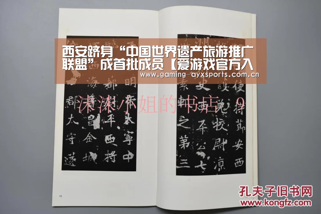 西安跻身“中国世界遗产旅游推广联盟”成首批成员【爱游戏官方入口】(图1) 爱游戏平台