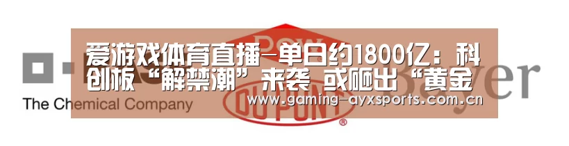 足球即时比分