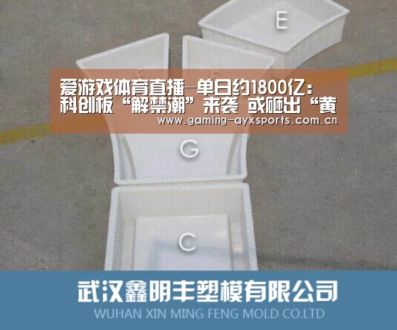 爱游戏体育直播