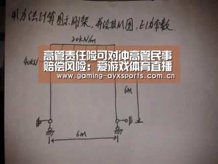 高管责任险可对冲高管民事赔偿风险:爱游戏体育直播(图1) 爱游戏体育直播
