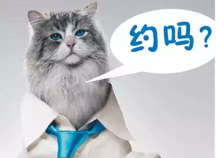 爱游戏官方入口